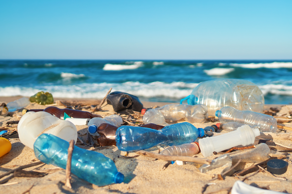 Plastic Pollution: Does it have an impact on your life?