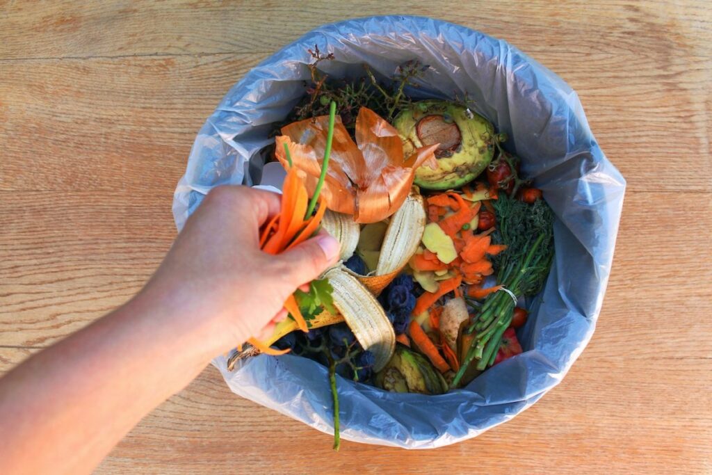 Domestic waste for compost from fruits and vegetables. Woman throws out garbage.