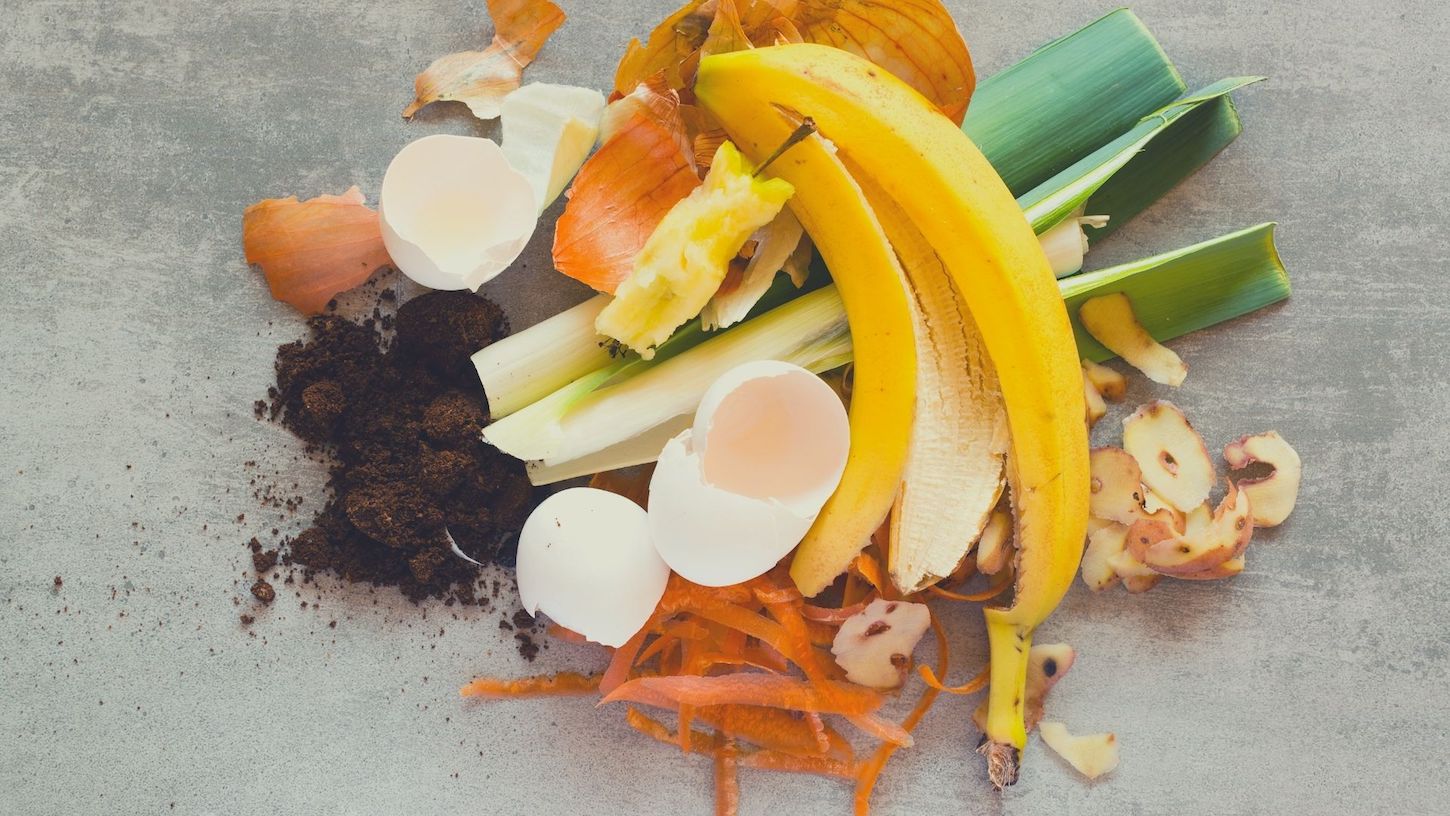 How to Compost to Reduce Waste in Landfills and Fertilize Your Garden